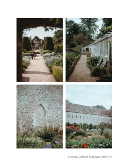 The Botanical Home