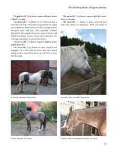The Art and Science of Equine Shiatsu The Art and Science of Equine Shiatsu