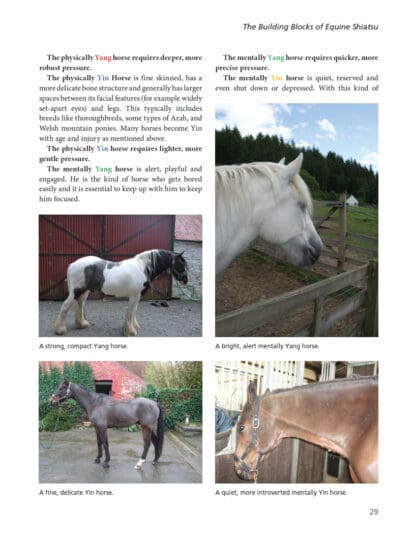 The Art and Science of Equine Shiatsu