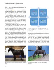 The Art and Science of Equine Shiatsu The Art and Science of Equine Shiatsu