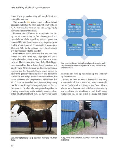 The Art and Science of Equine Shiatsu