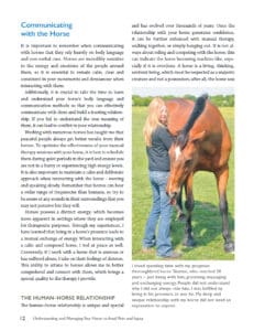 Is My Horse in Pain? Is My Horse in Pain?