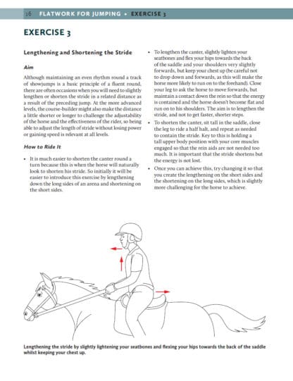 100 Exercises for Showjumping