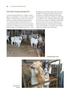 Keeping Goats Keeping Goats