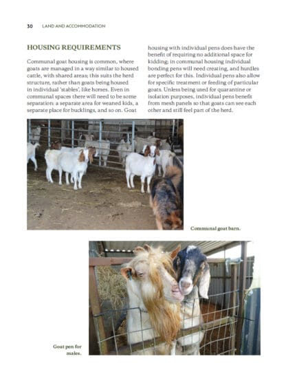 Keeping Goats