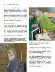 Keeping Parrots Keeping Parrots