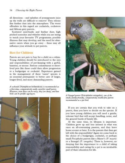 Keeping Parrots