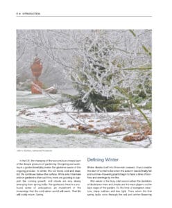 Designing and Creating a Winter Garden Designing and Creating a Winter Garden