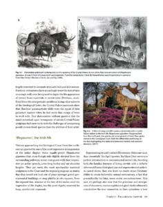Art and Science of the Crystal Palace Dinosaurs Art and Science of the Crystal Palace Dinosaurs