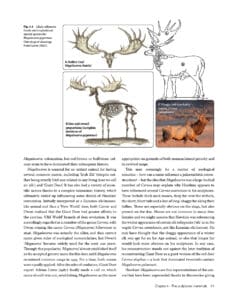 Art and Science of the Crystal Palace Dinosaurs Art and Science of the Crystal Palace Dinosaurs