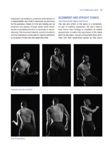 Movement Direction Movement Direction
