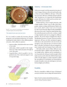 Designing Timber Buildings Designing Timber Buildings