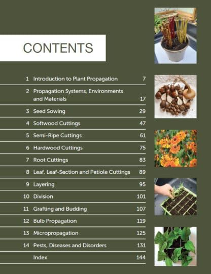 Gardener’s Guide to Propagation Techniques