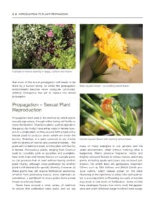 Gardener’s Guide to Propagation Techniques Gardener’s Guide to Propagation Techniques