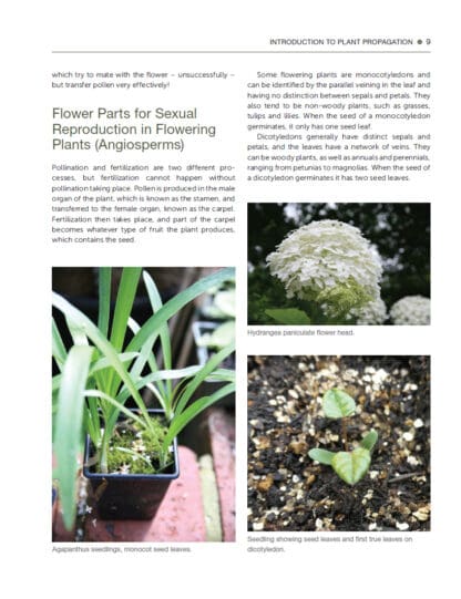 Gardener’s Guide to Propagation Techniques