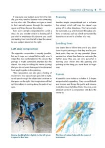 Painting Birds in Watercolour Painting Birds in Watercolour