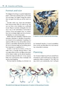 Painting Birds in Watercolour Painting Birds in Watercolour