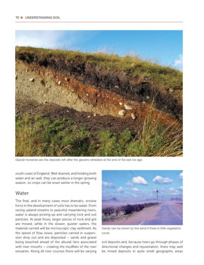 Gardener’s Guide to Soil