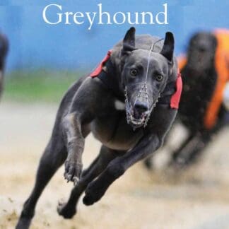 Training and Racing the Greyhound (Paperback)
