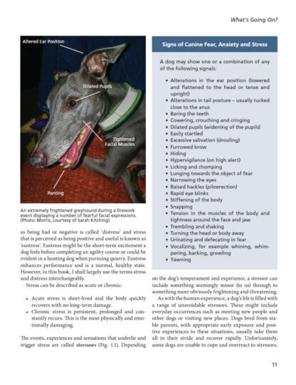 Fear and Anxiety in Dogs