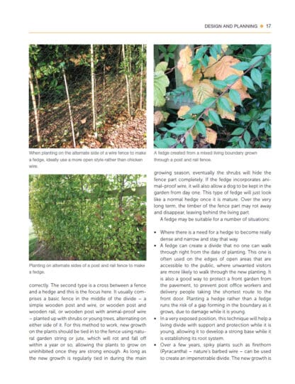 Gardener’s Guide to Hedges and Living Boundaries