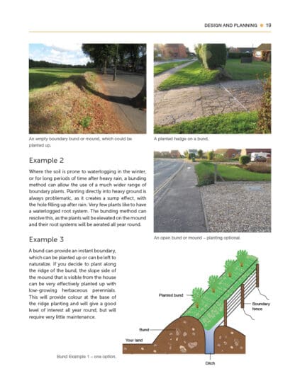 Gardener’s Guide to Hedges and Living Boundaries