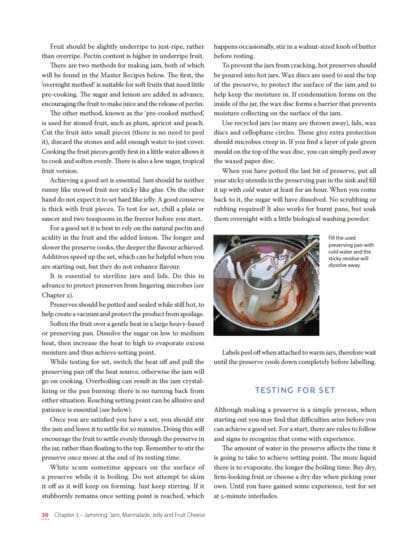Handbook of Preserves
