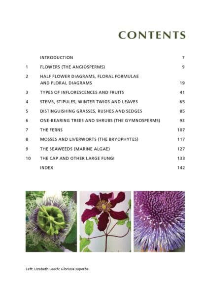 Artists Handbook of Botany