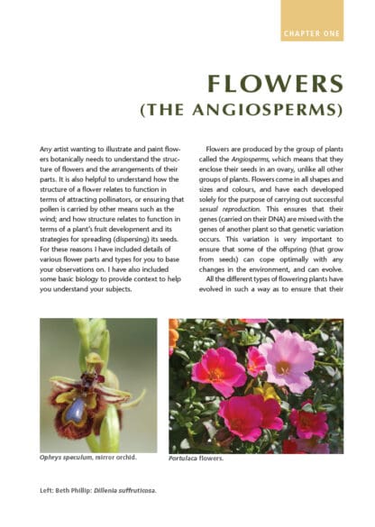 Artists Handbook of Botany