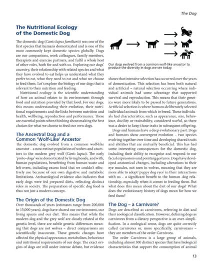 Canine Nutrition
