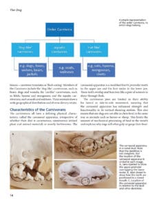 Canine Nutrition Canine Nutrition