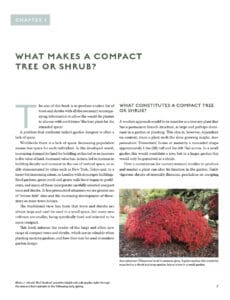 The Complete Guide to Compact Trees and Shrubs