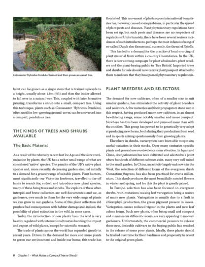 The Complete Guide to Compact Trees and Shrubs