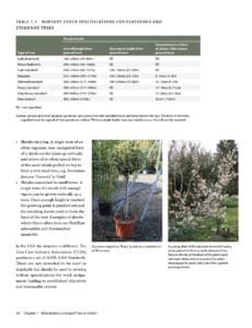 The Complete Guide to Compact Trees and Shrubs