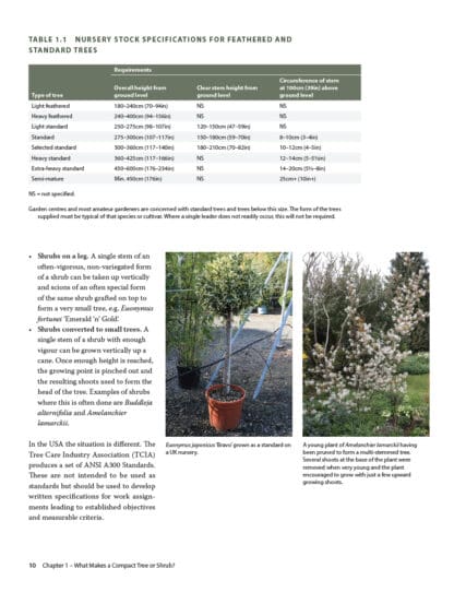 The Complete Guide to Compact Trees and Shrubs