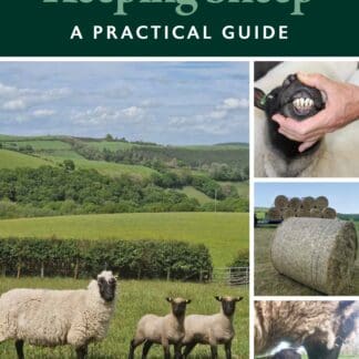 Keeping Sheep (Ebook)