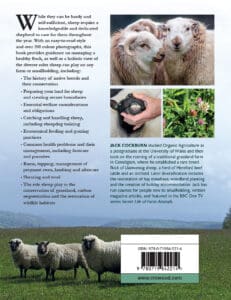 Keeping Sheep Keeping Sheep