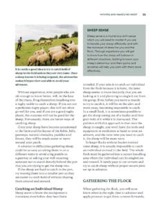 Keeping Sheep Keeping Sheep