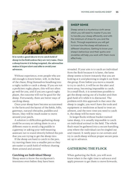 Keeping Sheep