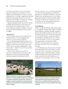 Keeping Sheep Keeping Sheep