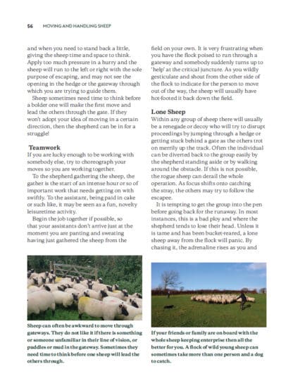 Keeping Sheep