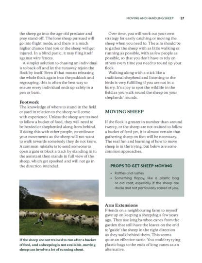 Keeping Sheep