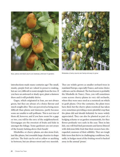 Orchards