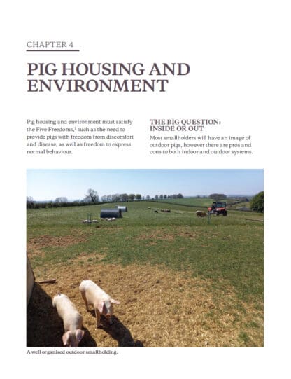 Keeping Pigs