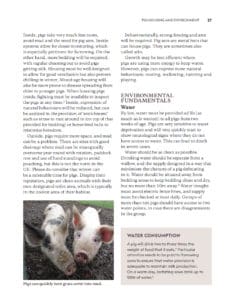 Keeping Pigs