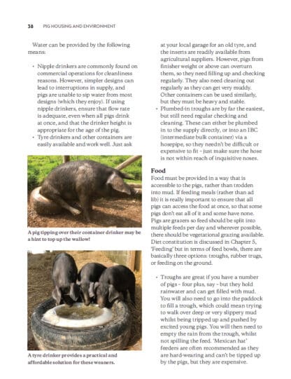 Keeping Pigs