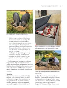 Keeping Pigs