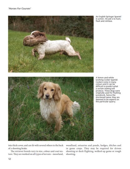 The Trouble with Gundogs