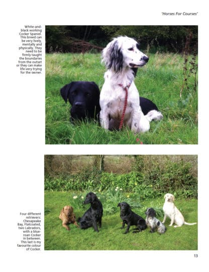 The Trouble with Gundogs