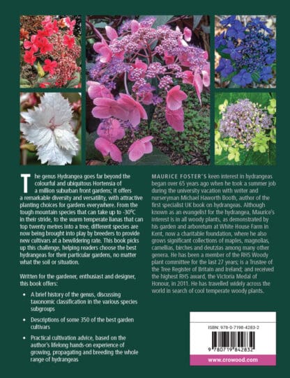 The Hydrangea